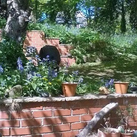 Church Hall & Secret Garden Hideaway At Summer Hills 別荘 ウィットビー