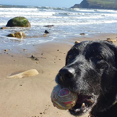 Church Hall & Secret Garden Hideaway At Summer Hills *