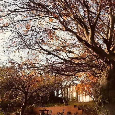 Church Hall & Secret Garden Hideaway At Summer Hills בית נופש וויטבי